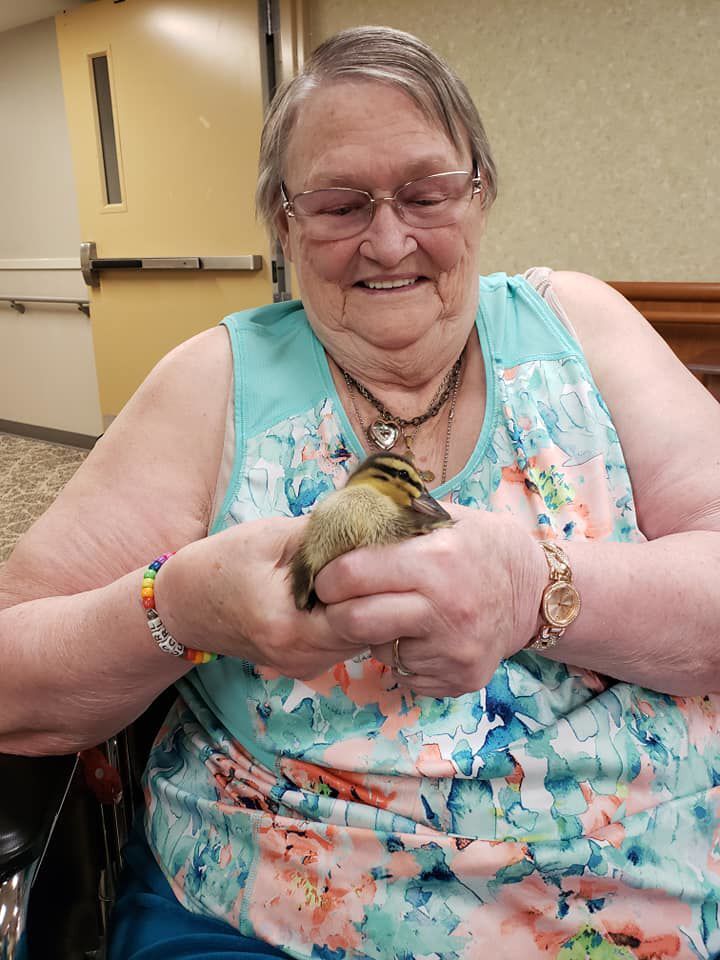 Baby Duck 5.jpg